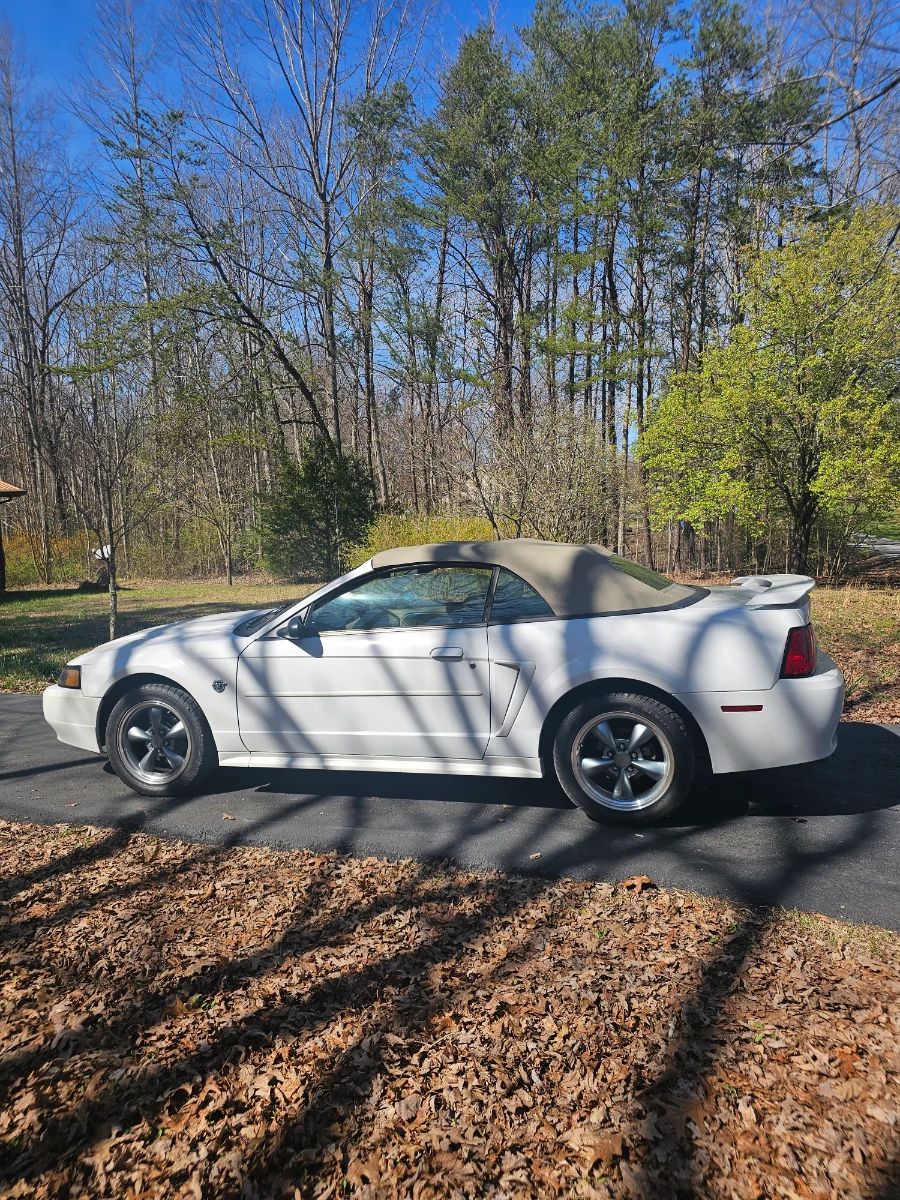 2004 Mustang, 142,000 miles, 40th anniversary, convertible top.