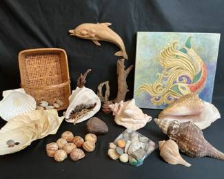 Ocean Shells