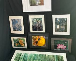 Framed Nature Photography