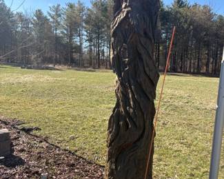 . . . and forest man