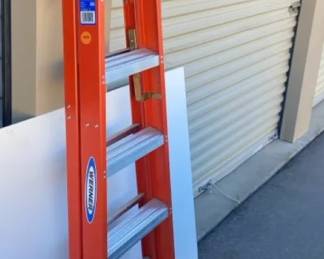 Werner 6 Ladder