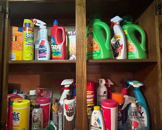 Lots and lots of cleaning supplies