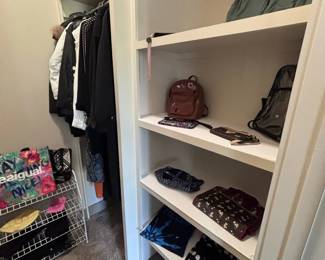 Walk-in closet with organized bags and accessories