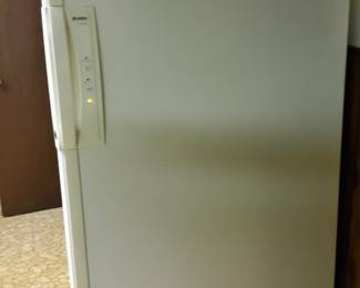 PRESALE - $225 UPRIGHT FREEZER