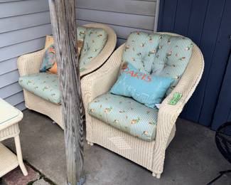 Items Located In The Back Patio And Garden Shed