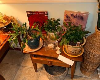 Items Located In The Sunroom