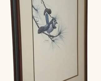 Blue Jay Bird Print
