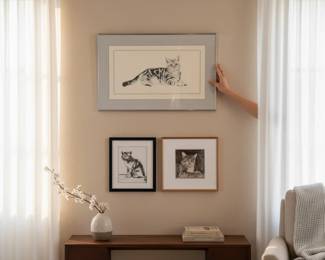 Collection of 3 Framed Cat Prints Product Staging