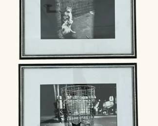 Pair of Framed Black  White Cat Photographs