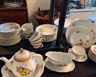 Mitterteich Meissen Floral Bavaria China