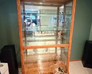 Display cabinet with lights