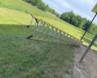 Added Saturday- 14’ Heavy Duty twin ladder