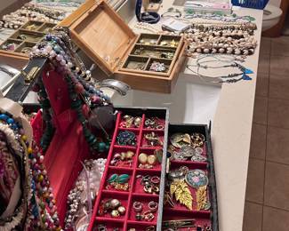 Jewelry- brooches,necklace, ear rings
