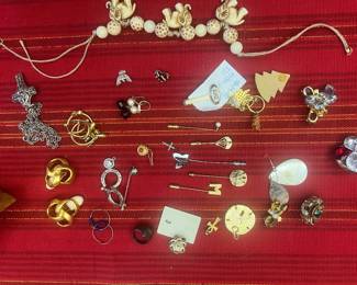 Pins and Earrings 