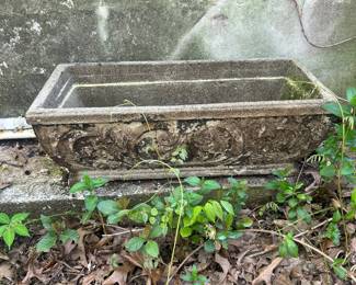 Another Concrete Planter 