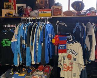 Detroit Lions, Tigers, Pistons