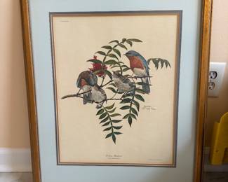 Ray Harm signed Eastern Bluebird Lithograph