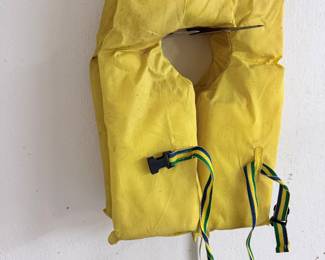 Life Vest
