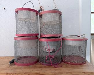 Cricket Cages