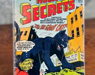 House of Secrets #65, published in 1964 by DC Comics. Features a cover story, “Lord Leopard’s Pet, ” with supernatural themes. The comic showcases vibrant artwork and has been preserved in collectible condition. Displayed in a protective sleeve.