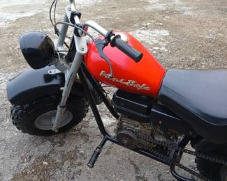 More mini bike photos 