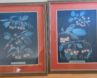 Cherries print by George Brookshaw