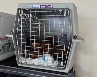 #188	Small/Medium Pet Taxi 	 $25.00 