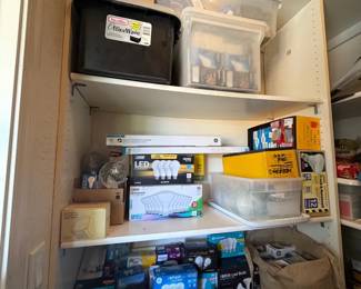 LARGE LOT  Light Bulbs