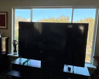 Large Flat Screen Television