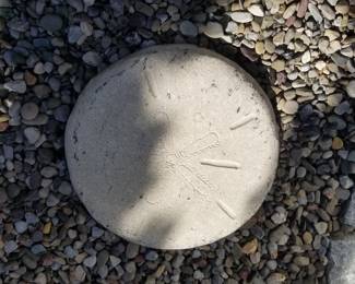 Sand dollar stepping stones - 25 available