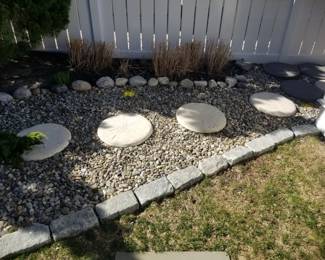 Sand dollar stepping stones - 25 available