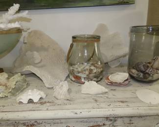 Jars of shells.