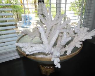 Large coral