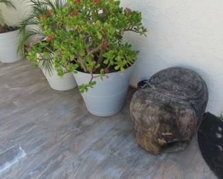 Large potted succulents.