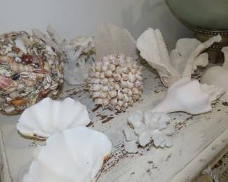 Large coral and shells.