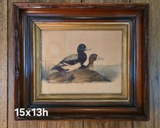 Duck lithograph in antique frame