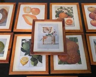 Framed vintage vegetable and fruit prints