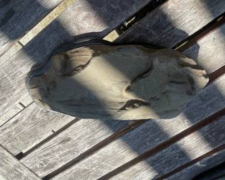 Fossilized Trilobite on Display Base