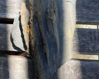 Fossilized Wood Fragment