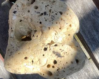 Porous Volcanic Rock Specimen (Pumice or Scoria)