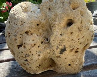 Porous Volcanic Rock Specimen (Pumice or Scoria)