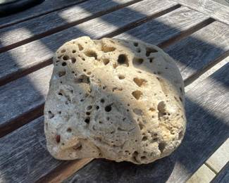 Porous Volcanic Rock Specimen (Pumice or Scoria)