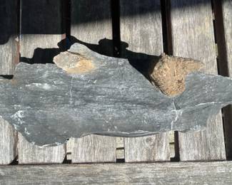 Japanese Suiseki Stone Display