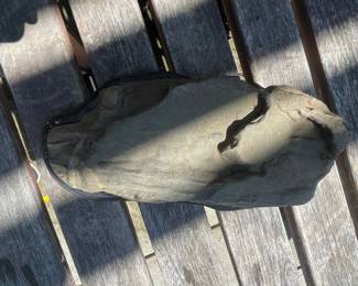 Fossilized Trilobite on Display Base