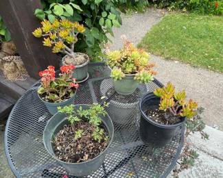 New Asset to Be Processed