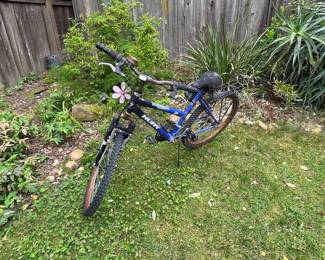 Huffy "Blue Mountain" Mountain Bike