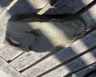 Fossilized Trilobite on Display Base