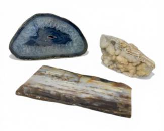 150 AgateGeodeSlicePetrifiedWoodSlabCrystalMineralSpecimens
