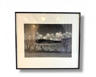 142 AnselAdamsOrchardSantaClaraValleyCaliforniaPrint