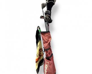 79 PINGGolfBagMixedClubsBalls